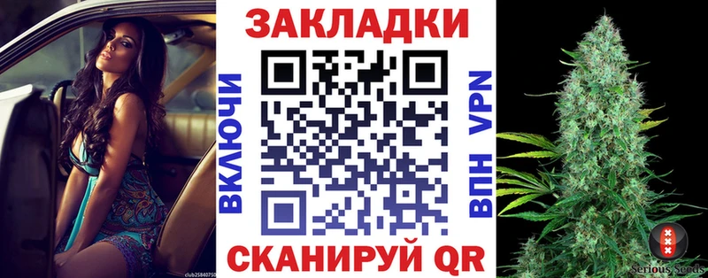 Где купить наркотики Снежногорск МАРИХУАНА  Мефедрон  A-PVP  ГАШ  КОКАИН 